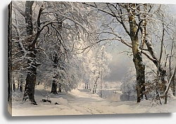 Постер Ландби Андерс Forest In Winter