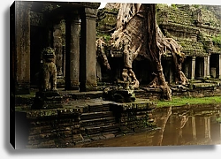 Постер Ангкор, Камбоджа. Храм Та Пром, покрытый огромными корнями 2