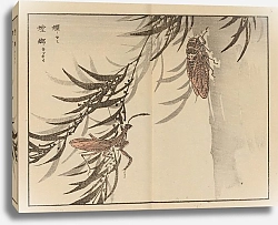 Постер Байрей Коно Байрей гафу, пл.58