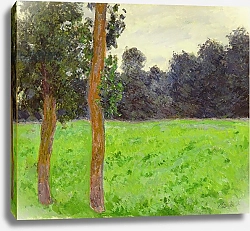 Постер Моне Клод (Claude Monet) Deux Arbres dans la Prairie, 1886