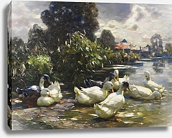 Постер Кестер Александр Восемь уток у воды
