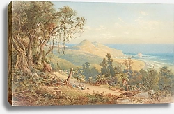 Постер Шевалье Николас Sandfly Bay, Otago