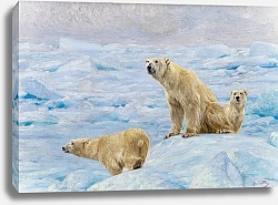 Постер Фриз Ричард Три белых медведя