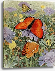 Постер Робер Поль-Андре Ла-Верж-Д'ор