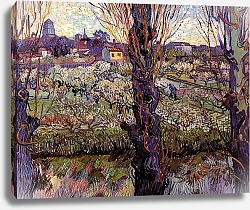Постер Ван Гог Винсент (Vincent Van Gogh) Фруктовый сад в цвету с видом на Арль