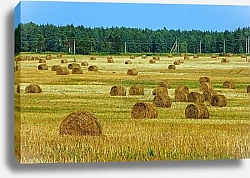 Постер Стога сена в поле