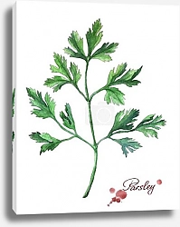 Постер Петрушка