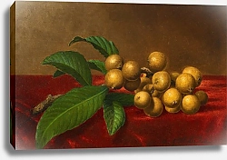 Постер Хид Мартин Джонсон Loquats on Red Velvet