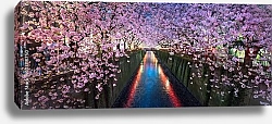 Постер Япония, Токио. Цветущие деревья над каналом