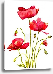 Постер Цветочный вечер