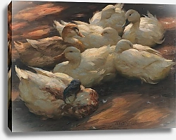 Постер Кестер Александр Утки, лежащие лагерем на земле