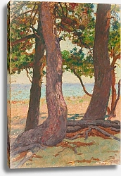 Постер Риссельберге Тео Trois Troncs de pins