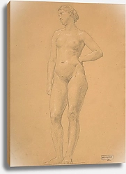 Постер Бугеро Вильям (Adolphe-William Bouguereau) Study of female nude