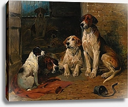 Постер Эммс Джон Гончие в питомнике