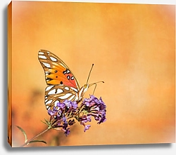 Постер Оранжевая бабочка на оранжевом фоне