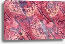 Постер Красно-серая яшма