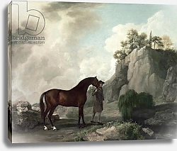 Постер Стаббс Джордж 'Cato' and Groom