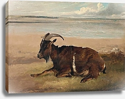 Постер Купер Томас Сидни Коза На берегу, Маргейт