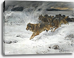 Постер Веруш-Ковальски Альфред Стая Волков