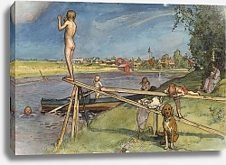 Постер Ларсон Карл Приятное место для купания