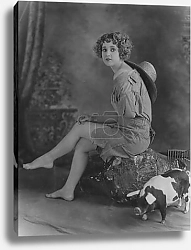 Постер Солнечные мечты