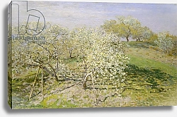 Постер Моне Клод (Claude Monet) Spring, 1873