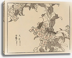 Постер Байрей Коно Байрей гафу, пл. 61