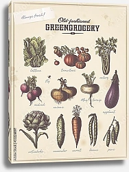 Постер Ретро плакат огородника с разными овощами