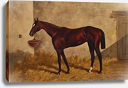 Постер Сталл Генри Индус в конюшне