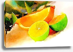 Постер Лимон и два лайма