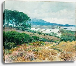 Постер Кармен Дюн