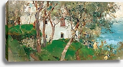 Постер Кашиаро Джузеппе Capri