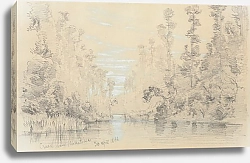 Постер Шевалье Николас Ручей близ Хокитики