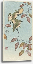 Постер Косон Охара Small Birds on a Twig