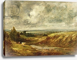 Постер Констебль Джон (John Constable) Hampstead Heath, c.1825-30