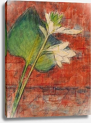 Постер Рольфс Кристиан Herzblatttlilien auf rotem Grund