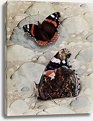 Постер Робер Поль-Андре Вулкан