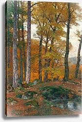 Постер Дарно Хьюго Лесная поляна с осенними оленями