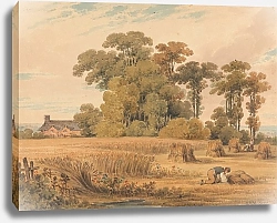 Постер Сэндби Поль Кукурузное поле