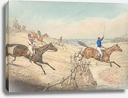 Постер Олкен Генри (охота) Steeplechasing; The Field taking a Low Rail and a Brook