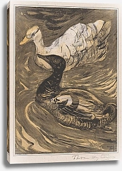 Постер Хойтема Тео Две плавающие утки