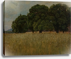 Постер Тома Ханс Кукурузное поле с лиственными деревьями