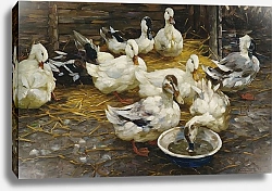Постер Кестер Александр Утки в соломе