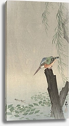 Постер Косон Охара Kingfisher on tree stump