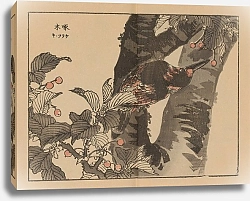 Постер Байрей Коно Байрей гафу, пл.07