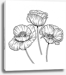 Постер line poppies vector set 01