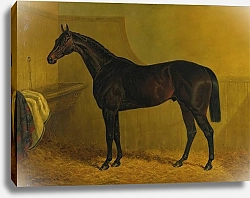 Постер Херринг Джон Лотерея