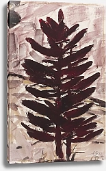 Постер Рольфс Кристиан Красно-коричневая пихта