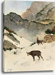Постер Бергер Георг Серны в высоких горах