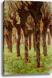 Постер Богушевич Ян Scary willow